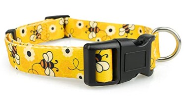 Limeloot Bees Dog Collar Adjustable Dog Collar for Male and Female Dogs Small