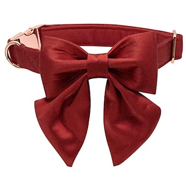lionet paws Lionet Paws Bowtie Dog Collar Comfortable Silk Dog Collar with Detachable Bow Tie for Small Dogs Neck 1016 Inches