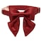 lionet paws Lionet Paws Bowtie Dog Collar Comfortable Silk Dog Collar with Detachable Bow Tie for Small Dogs Neck 1016 Inches