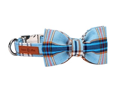 lionet paws Lionet Paws Boy Dog Collar with Bowtie Comfortable Adjustable Cute Blue Plaid Bow Tie Collar for Male Dogs Gift Small Neck 1016 inches