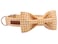 lionet paws Lionet Paws Dog Collar with Bowtie Durable Adjustable and Comfortable Collar for Small Dogs Puppies and Cats Neck 1016in