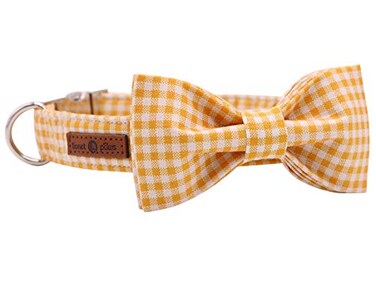 lionet paws Lionet Paws Dog Collar with Bowtie Durable Adjustable and Comfortable Collar for Small Dogs Puppies and Cats Neck 1016in