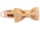 lionet paws Lionet Paws Dog Collar with Bowtie Durable Adjustable and Comfortable Collar for Small Dogs Puppies and Cats Neck 1016in