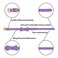 LOVPE Crystal Dog CollarCat Collar Velvet Leather with BowKnot Tie Rhinestone PuppyKitten Collars for Small Dogs Cats Purple S