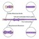 LOVPE Crystal Dog CollarCat Collar Velvet Leather with BowKnot Tie Rhinestone PuppyKitten Collars for Small Dogs Cats Purple S