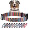 Lucky Love Dog Collars Rainbow Stripes Pattern Dog Collar for Medium Dogs Comfortable Soft Cute Girl or Boy Dog Collar Hippie Medium