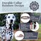 Lucky Love Dog Collars Rainbow Stripes Pattern Dog Collar for Medium Dogs Comfortable Soft Cute Girl or Boy Dog Collar Hippie Medium