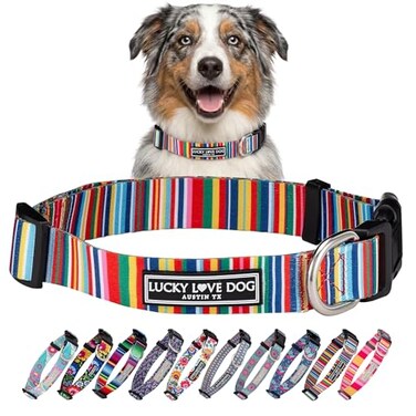 Lucky Love Dog Collars Rainbow Stripes Pattern Dog Collar for Medium Dogs Comfortable Soft Cute Girl or Boy Dog Collar Hippie Medium