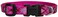 LupinePet 12Inch Puppy Love 812Inch Adjustable Dog Collar for Small Dogs