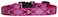 LupinePet 12Inch Puppy Love 812Inch Adjustable Dog Collar for Small Dogs