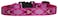 LupinePet 12Inch Puppy Love 812Inch Adjustable Dog Collar for Small Dogs