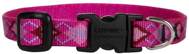 LupinePet 12Inch Puppy Love 812Inch Adjustable Dog Collar for Small Dogs