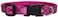 LupinePet 12Inch Puppy Love 812Inch Adjustable Dog Collar for Small Dogs