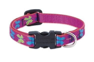 LupinePet Originals 12 Wing It 812 Adjustable Collar for Small Dogs