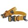 MADE TO Made to ROAM Premium Dog Collar Adjustable Heavy Duty Nylon Collar with QuickRelease Metal Buckle Michigan Autumn Classic Size 0