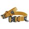 MADE TO Made to ROAM Premium Dog Collar Adjustable Heavy Duty Nylon Collar with QuickRelease Metal Buckle Michigan Autumn Classic Size 0