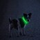 MASBRILL LED Dog Collar Light Up Dog Collars Rechargeable Waterproof Night Walking Glowing Dog Collar for Small Medium Large Dogs