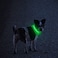 MASBRILL LED Dog Collar Light Up Dog Collars Rechargeable Waterproof Night Walking Glowing Dog Collar for Small Medium Large Dogs