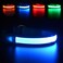 MASBRILL Led Dog Collar Light Up Night Walking WaterResistant Blue Glowing Collar 4 Colors to Choose From