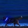 MASBRILL Led Dog Collar Light Up Night Walking WaterResistant Blue Glowing Collar 4 Colors to Choose From