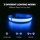 MASBRILL Led Dog Collar Light Up Night Walking WaterResistant Blue Glowing Collar 4 Colors to Choose From