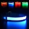MASBRILL Led Dog Collar Light Up Night Walking WaterResistant Blue Glowing Collar 4 Colors to Choose From