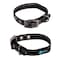Max and Neo MAX Reflective Metal Buckle Dog Collar We Donate a Collar to a Dog Rescue for Every Collar Sold XSmall Orange