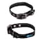 Max and Neo MAX Reflective Metal Buckle Dog Collar We Donate a Collar to a Dog Rescue for Every Collar Sold XSmall Orange