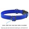 Max and Neo NEO Nylon Buckle Reflective Dog Collar We Donate a Collar to a Dog Rescue for Every Collar Sold Small Orange