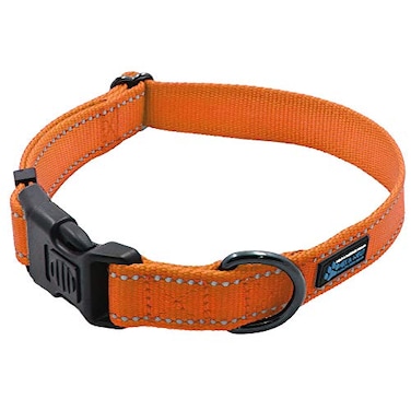 Max and Neo NEO Nylon Buckle Reflective Dog Collar We Donate a Collar to a Dog Rescue for Every Collar Sold Small Orange