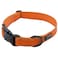 Max and Neo NEO Nylon Buckle Reflective Dog Collar We Donate a Collar to a Dog Rescue for Every Collar Sold Small Orange
