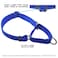Max and Neo Nylon Extra Large Dog Martingale Collar We Donate to a Dog Rescue for Every Collar Sold Teal