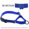 Max and Neo Nylon Martingale Collar We Donate to a Dog Rescue for Every Collar Sold Large Teal