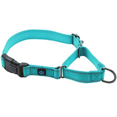 Max and Neo Nylon Martingale Collar We Donate to a Dog Rescue for Every Collar Sold Large Teal