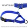 Max and Neo Patterned Martingale Dog Collar We Donate a Collar to a Dog Rescue for Every Collar Sold Large Dinosaurs