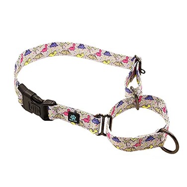 Max and Neo Patterned Martingale Dog Collar We Donate a Collar to a Dog Rescue for Every Collar Sold Large Dinosaurs