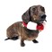 Midlee WhiteRed Dog Christmas Plush Jingle Bell Collar Large Holiday Neckware