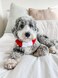 Midlee WhiteRed Dog Christmas Plush Jingle Bell Collar Large Holiday Neckware