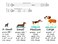 Mihqy Christmas Dog Collar Premium Adjustable Dog Collar for Small Medium Large Dogs ChristmasL