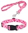 Mihqy Dog Collar and Leash Set Adjustable Heart Dog Collar Love Theme Perfect for Small Medium Large DogsPink Heart SetS