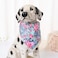 Mile High Life Girl Dog Collars Cute Bandana Collar Soft Poly Cotton Fabric Collars for Small Dogs Flower Fruit PatternCarnation Collar BandanaS