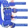 Cdycam Military Adjustable 2 Wide D Ring Buckle 2Rows Dog Collar Green Nylon Tactical
