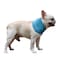 NACOCO 2 Pcs Dog Instant Cooling Scarf Summer Pet Bandana Cats Collar Ice Towels for Bulldog Blue M