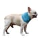 NACOCO 2 Pcs Dog Instant Cooling Scarf Summer Pet Bandana Cats Collar Ice Towels for Bulldog Blue M