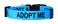 Native Pup Adopt Me Dog Collar Large Blue