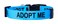 Native Pup Adopt Me Dog Collar Large Blue