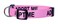 Native Pup Adopt Me Dog Collar Small Pink