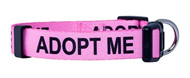 Native Pup Adopt Me Dog Collar Small Pink