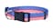 Native Pup American Flag Dog Collar Red White and Blue Patriotic Collars for 4th of July USA Adjustable Small Medium Large Breed Dogs Medium Flag II