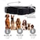 Native Pup Basic Nylon Dog Collar Adjustable for Small Medium Large pet and Puppies Accessories Cute Colors for Male Female boy Girl Puppy Medium Black